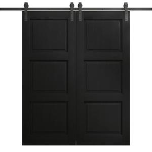 Modern Double Barn Door 36 x 80 inches | Ego 5010 Painted Black Oak | 13FT Rail Track Set | Solid Panel Interior Doors