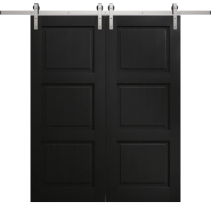 Modern Double Barn Door 36 x 80 inches | Ego 5010 Painted Black Oak | 13FT Silver Rail Track Set | Solid Panel Interior Doors