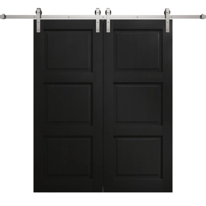 Modern Double Barn Door 60 x 84 inches | Ego 5010 Painted Black Oak | 13FT Silver Rail Track Set | Solid Panel Interior Doors