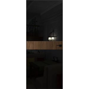 Invisible Solid Hidden Door with Handle | Termix 0801 Sahara Black with Silver Hidden Frame 36" x 84" Left-hand Inswing Silver Frame | Concealed Hinges Lock Handle | Modern Frameless Doors
