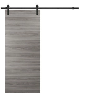 Planum 0010 Sliding Interior Modern Barn Door Ginger Ash with steel Track 6.6 FT