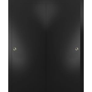 Sliding Closet Bypass Doors with Hardware | Planum 0010 Matte Black | Sturdy Rails Moldings Trims Hardware Set | Modern Wood Solid Bedroom Wardrobe Doors 