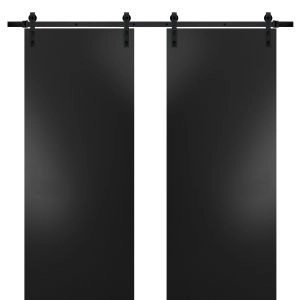 Sturdy Double Barn Door with Hardware | Planum 0010 Matte Black | 13FT Rail Hangers Heavy Set | Modern Solid Panel Interior Doors