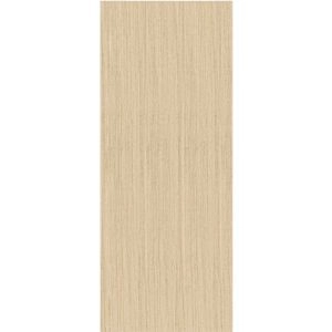 Slab Barn Door Panel | Planum 0010 Vertical Natural Veneer | Sturdy Finished Flush Modern Doors | Pocket Closet Sliding