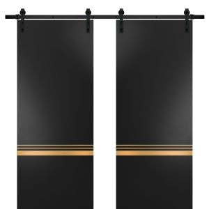 Sturdy Double Barn Door with Hardware | Planum 2010 Matte Black and Aluminum Strips | 13FT Rail Hangers Heavy Set | Modern Solid Panel Interior Doors