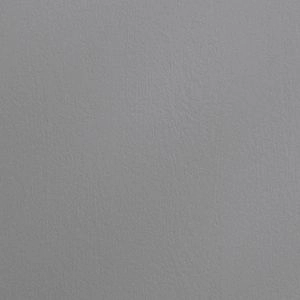 Sample of Interior Door Color EGO Painted Grey Oak