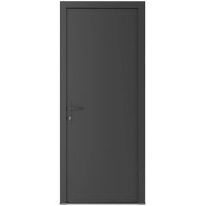 Front Exterior Prehung Metal-Plastic Door | Manux 8111 Antracite Grey | Office Commercial and Residential Doors Entrance Patio Garage W36" x H80" Right hand Inswing