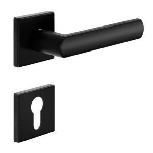 Door Euro Handle LUCE02 for Magnetic Lock, Black, Entry