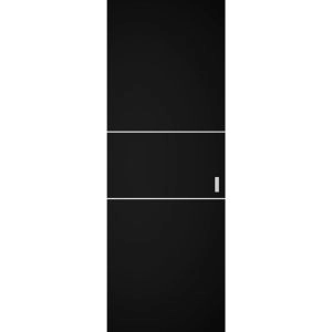 Hidden Barn | Planum 0110 Black Matte | Sturdy Finished Modern Doors | Magic Concealed Sliding Set 28" x 80"