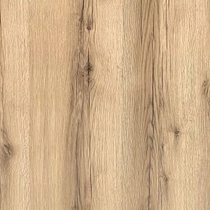 Sample of Door Color Oak