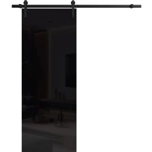 Barn Door 18 x 80 inches | Planum 0010 Gloss Black | 6.6FT Rail Track Hardware Set | Solid Panel Interior Doors