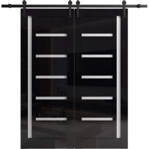 Double Barn Door 36 x 80 inches | Quadro 4088 Gloss Black | 13FT Rail Track Set | Solid Panel Interior Doors