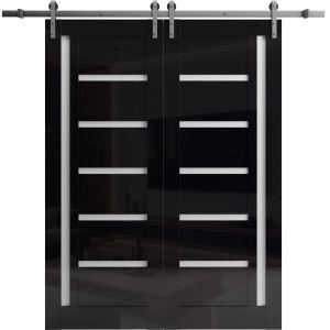 Double Barn Door 36 x 80 inches | Quadro 4088 Gloss Black | 13FT Silver Rail Track Set | Solid Panel Interior Doors
