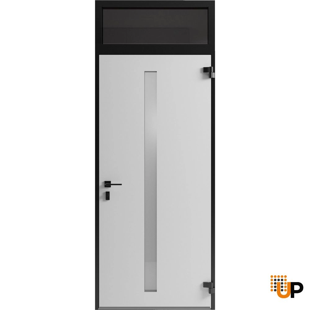 Single swing metal-aluminum modern exterior door with clear-mirrored glass | Hiddex 0155 Ardesia Nero | 36 x 92 (36 x 80+12) photo#2