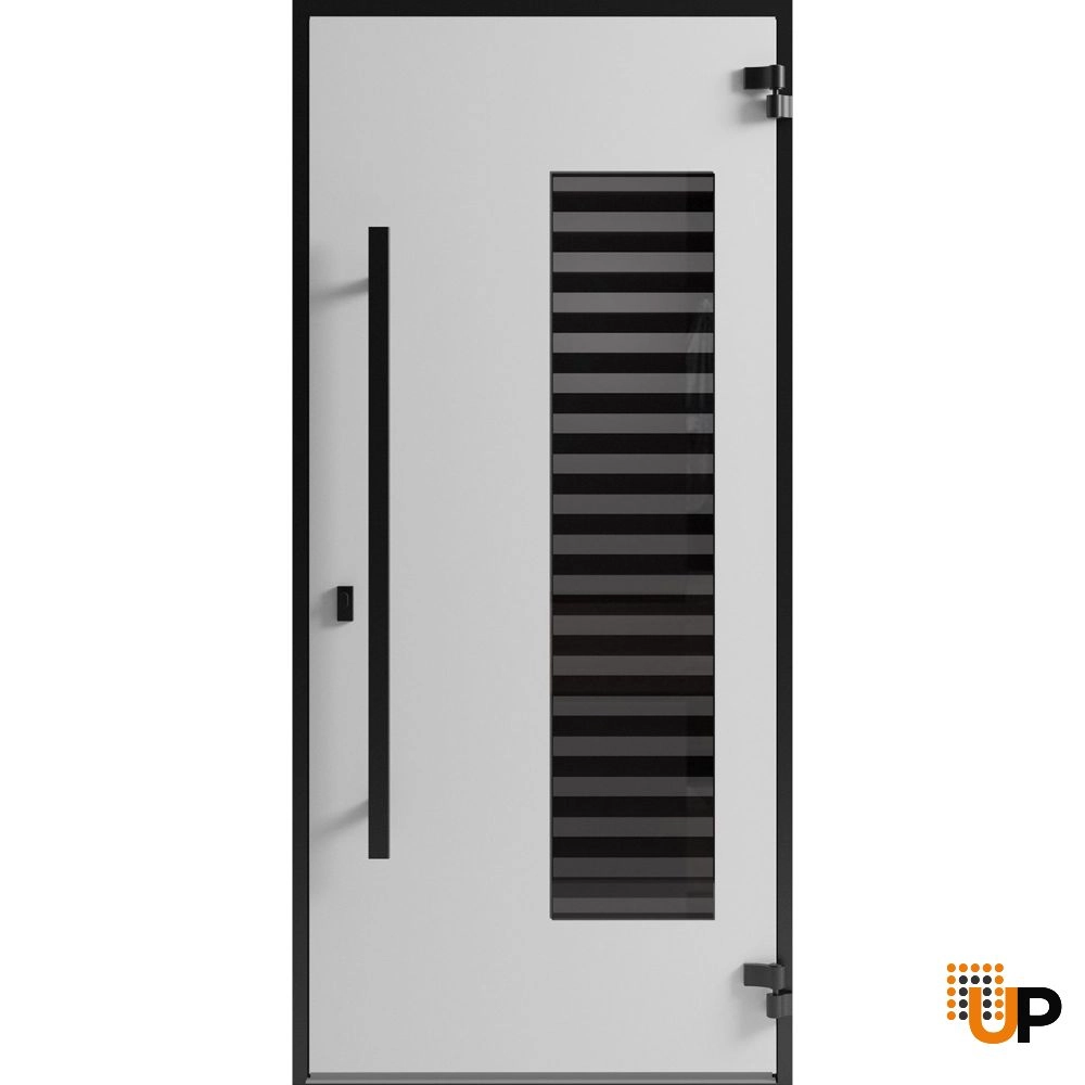 Single swing metal-aluminum modern exterior door with triplex | Ronex 0633 Grey | 36 x 80 photo#2