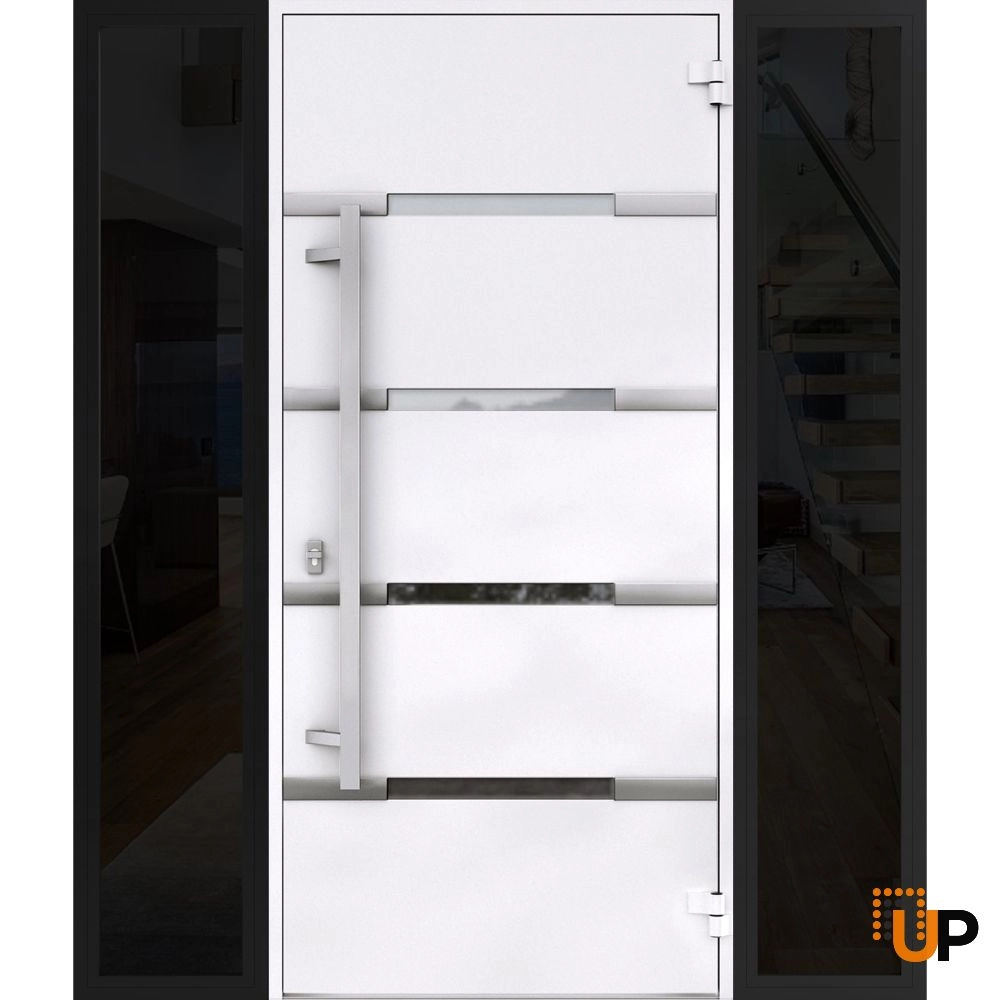 Single swing metal-aluminum modern exterior door with triplex | Deux 1105 Black | 60 x 80 photo#2