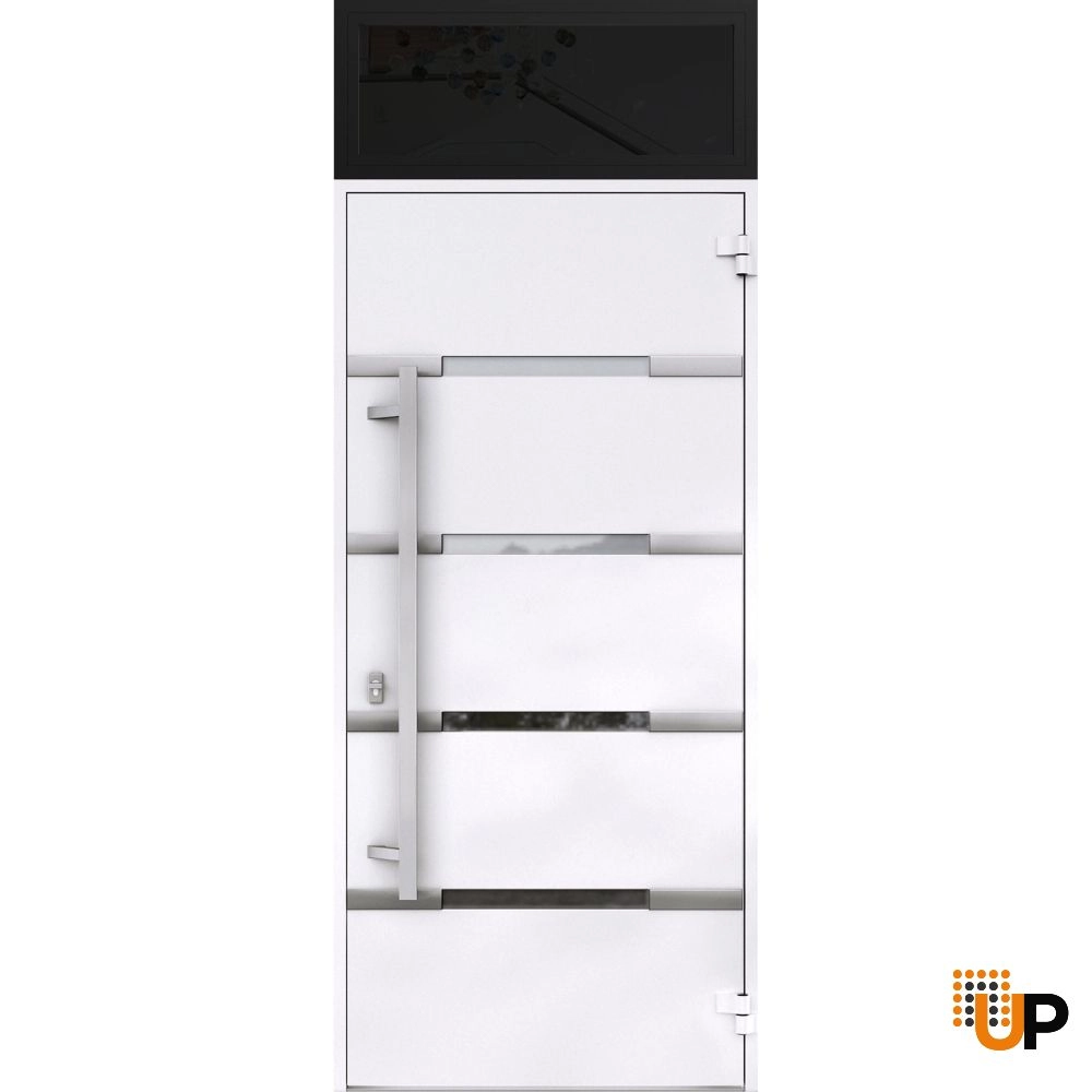 Single swing metal-aluminum modern exterior door with triplex | Deux 1105 Black | 36 x 96 photo#2