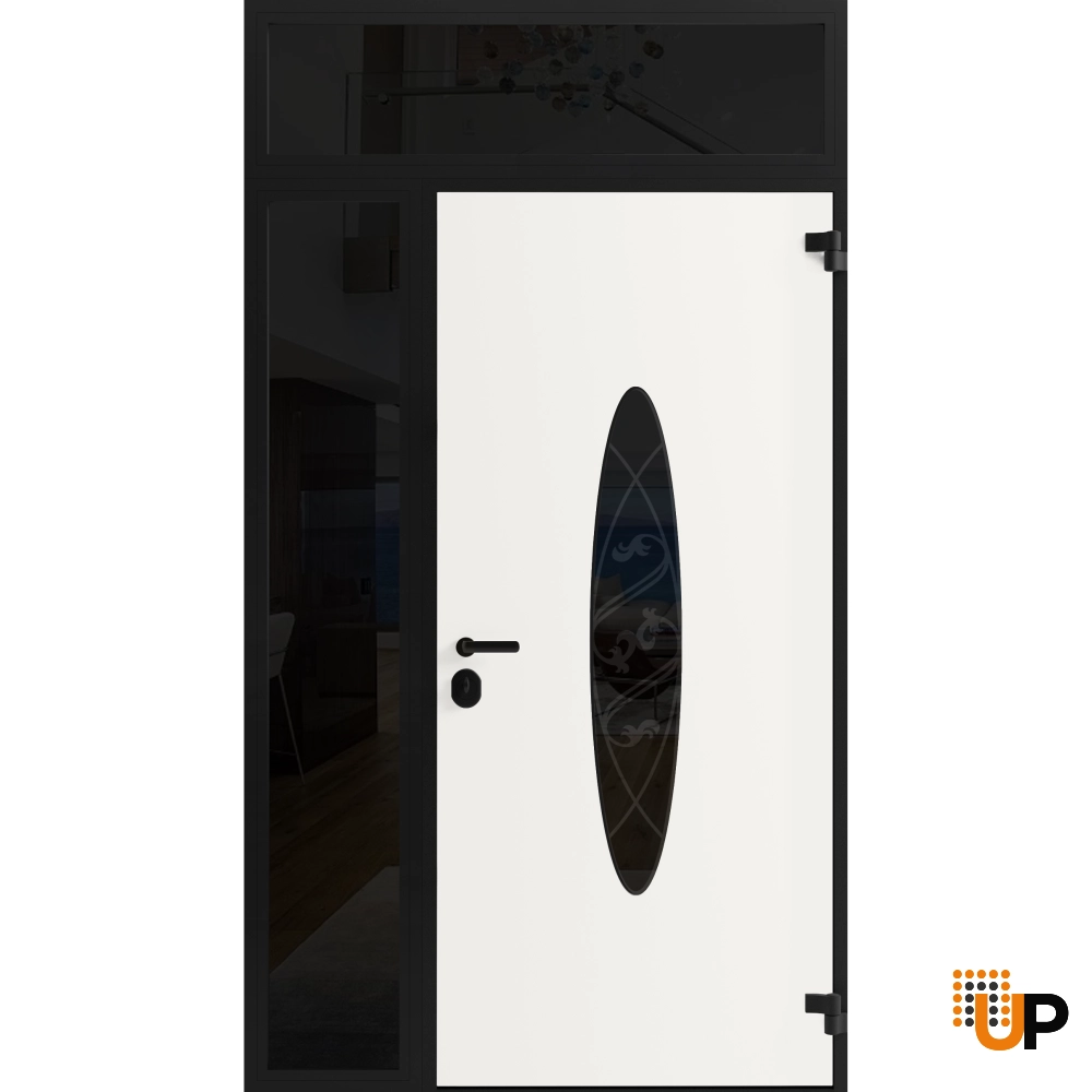 Single swing metal-aluminum classic exterior door with triplex | Ronex 1277 Black | 48 x 96 photo#2