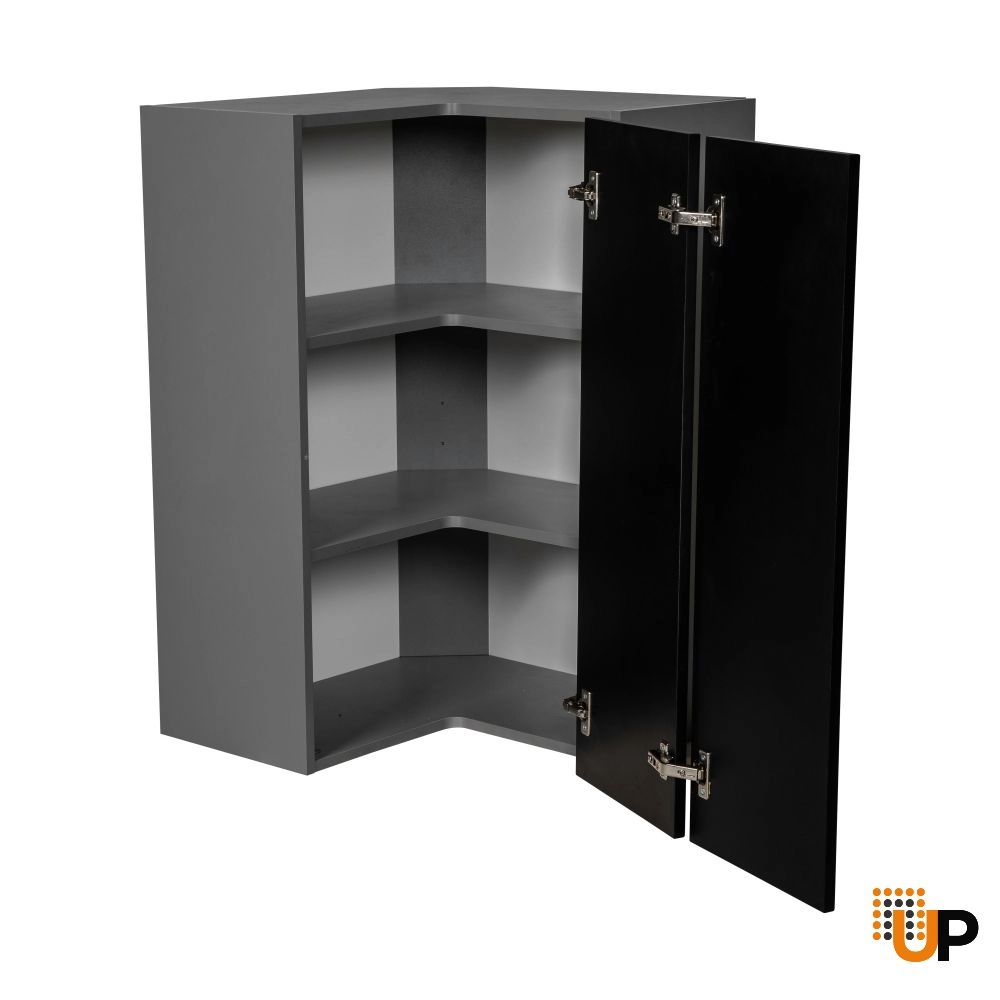 24" x 42" Wall Easy Reach-Double Door-with Black Matte door photo#2