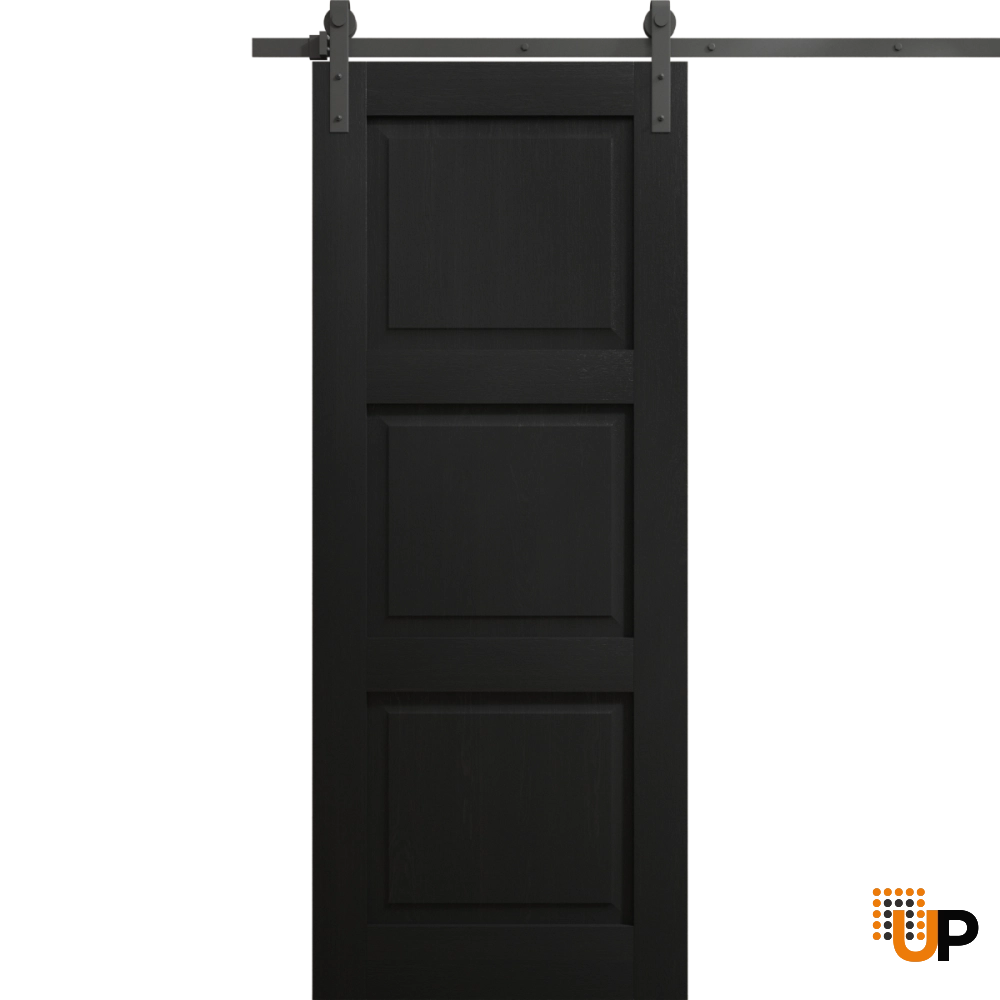 Single solid core sliding interior barn door | Ego 5010 EGO Painted Black Oak | 18 x 80 photo#1