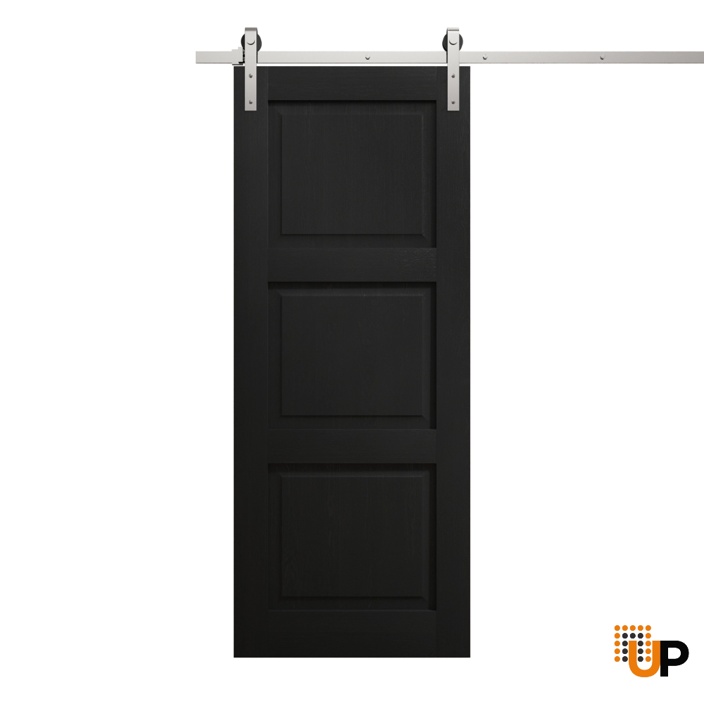 Single solid core sliding interior barn door | Ego 5010 EGO Painted Black Oak | 32 x 80 photo#1