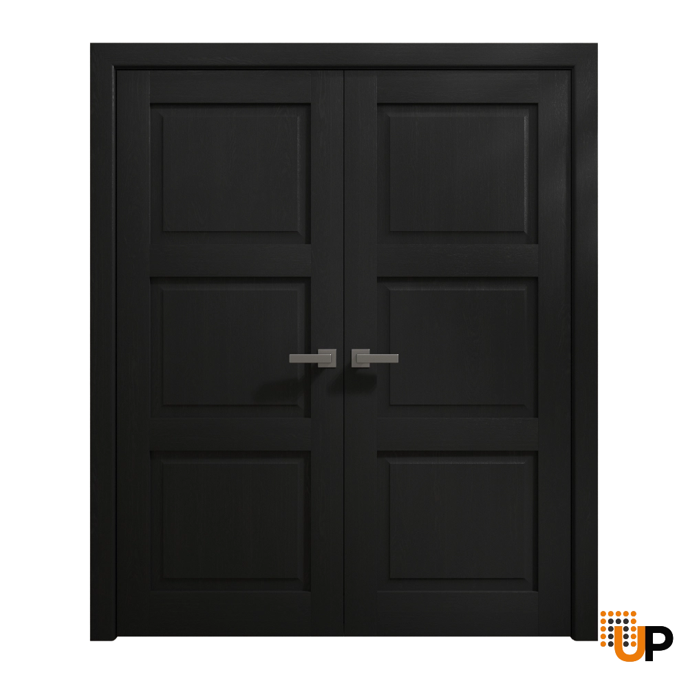 Double solid core french interior swing double door | Ego 5010 EGO Painted Black Oak | 60 x 96 (2* 30x96) photo#1