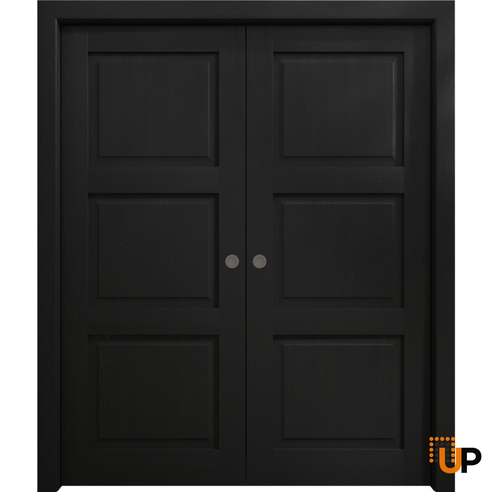 Double solid core sliding interior pocket double door | Ego 5010 EGO Painted Black Oak | 36 x 80 (2* 18x80) photo#1