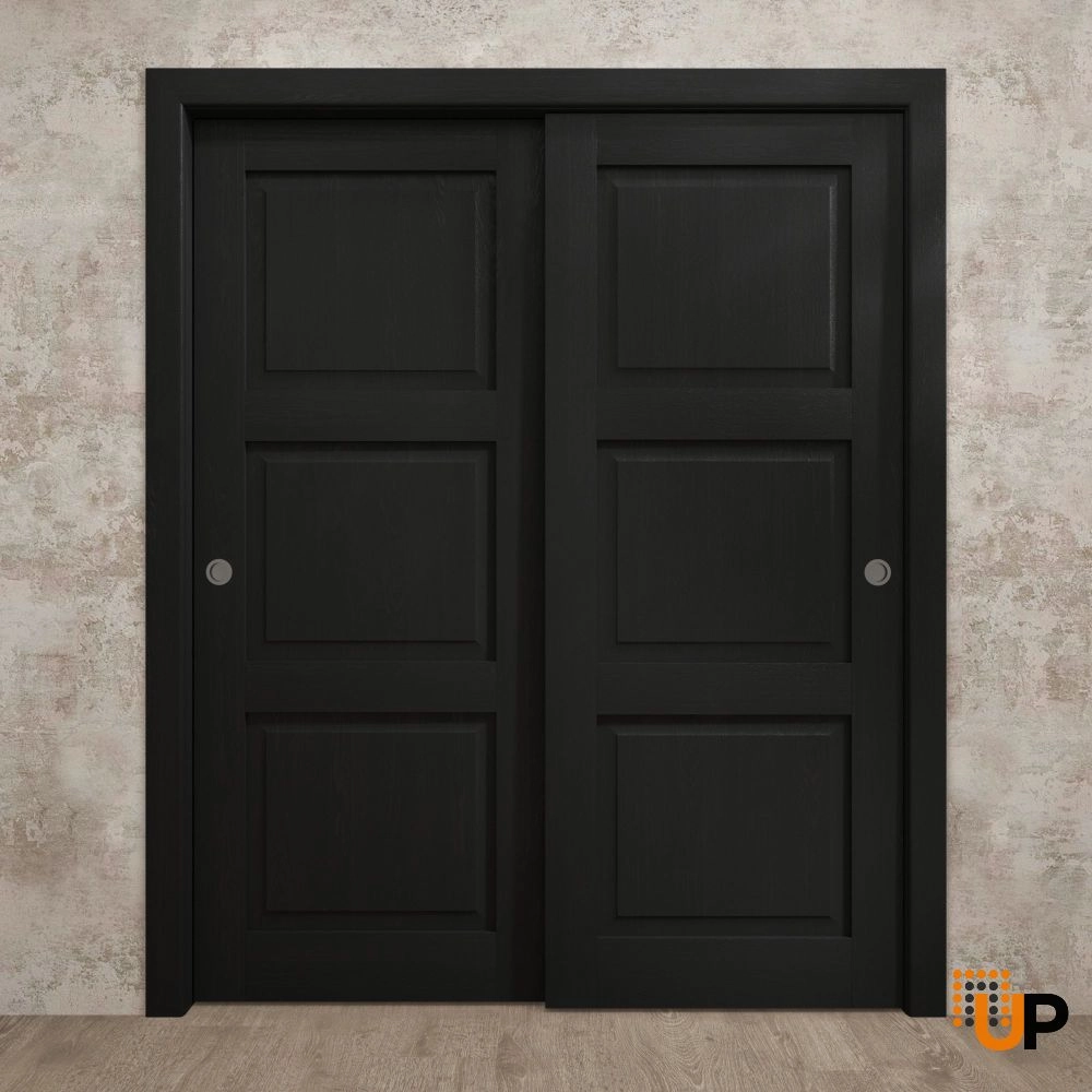 Double solid core sliding interior closet bypass door | Ego 5010 EGO Painted Black Oak | 84 x 80 (2* 42x80) photo#2