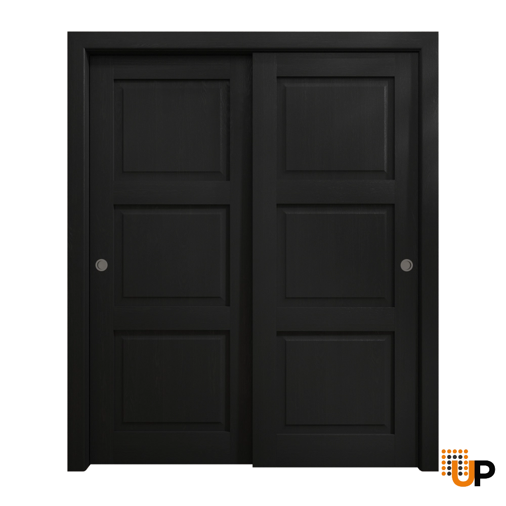 Double solid core sliding interior closet bypass door | Ego 5010 EGO Painted Black Oak | 84 x 80 (2* 42x80) photo#1