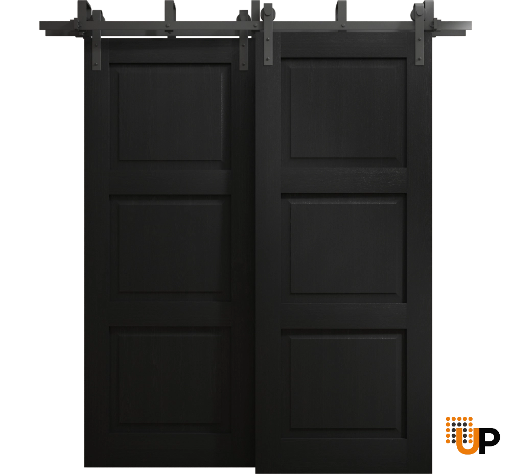 Double solid core sliding interior barn bypass door | Ego 5010 EGO Painted Black Oak | 36 x 80 (2* 18x80) photo#1