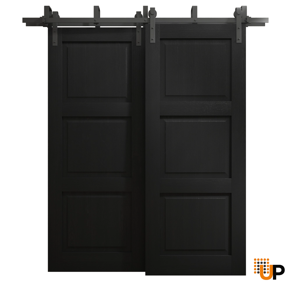 Double solid core sliding interior barn bypass door | Ego 5010 EGO Painted Black Oak | 60 x 80 (2* 30x80) photo#1