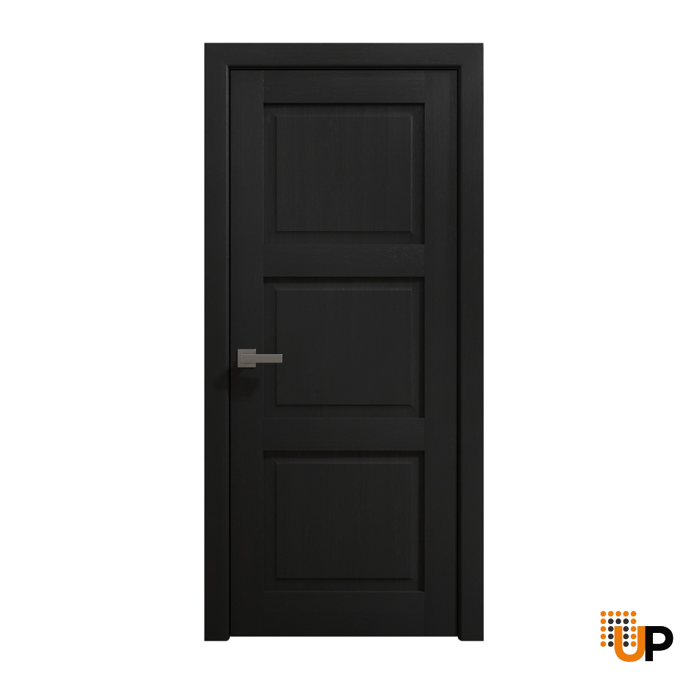 Single solid core luxury interior swing door | Ego 5010 EGO Painted Black Oak | 28 x 80 photo#1