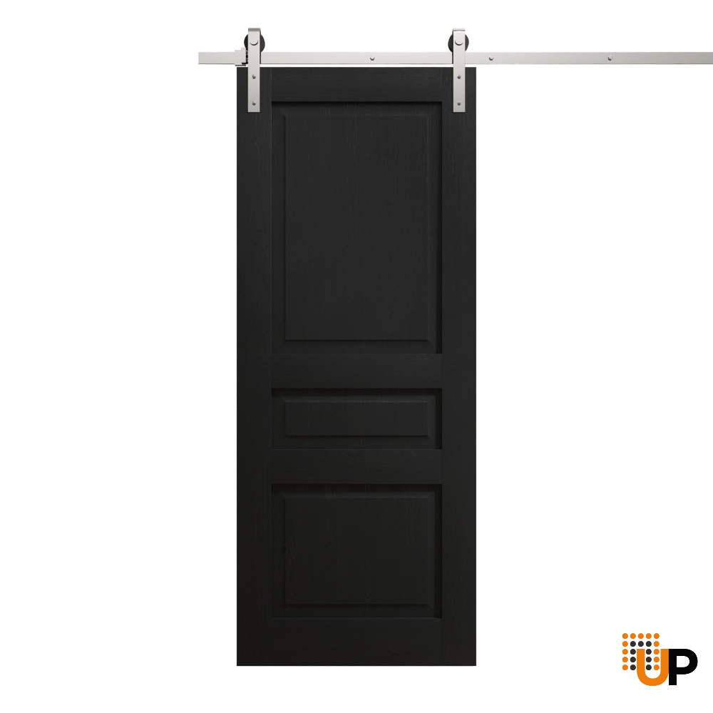 Single solid core sliding interior barn door | Ego 5012 EGO Painted Black Oak | 30 x 96 photo#1