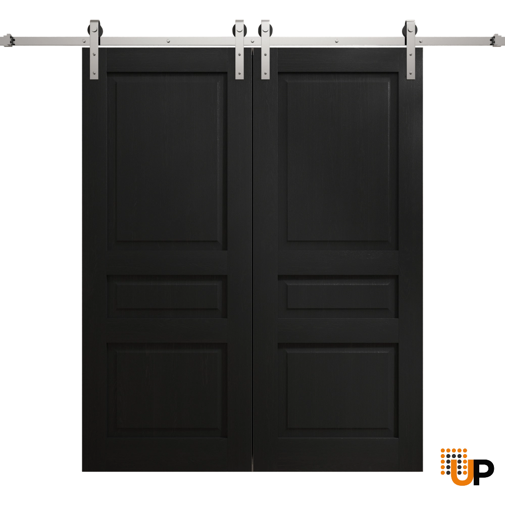 Double solid core sliding french interior barn double door | Ego 5012 EGO Painted Black Oak | 56 x 80 (2* 28x80) photo#1