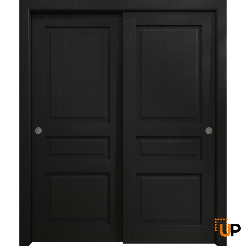 Double solid core sliding interior closet bypass door | Ego 5012 EGO Painted Black Oak | 36 x 80 (2* 18x80) photo#1