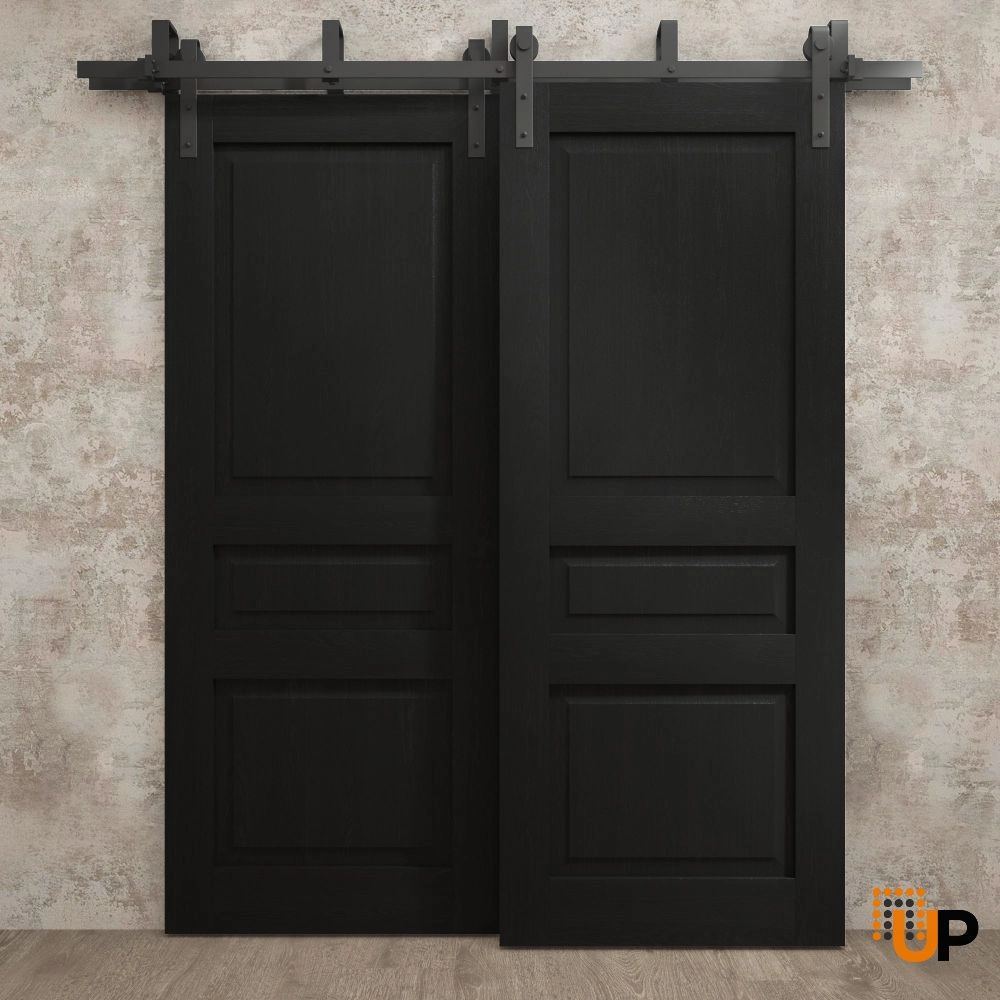 Double solid core sliding interior barn bypass door | Ego 5012 EGO Painted Black Oak | 36 x 80 (2* 18x80) photo#2