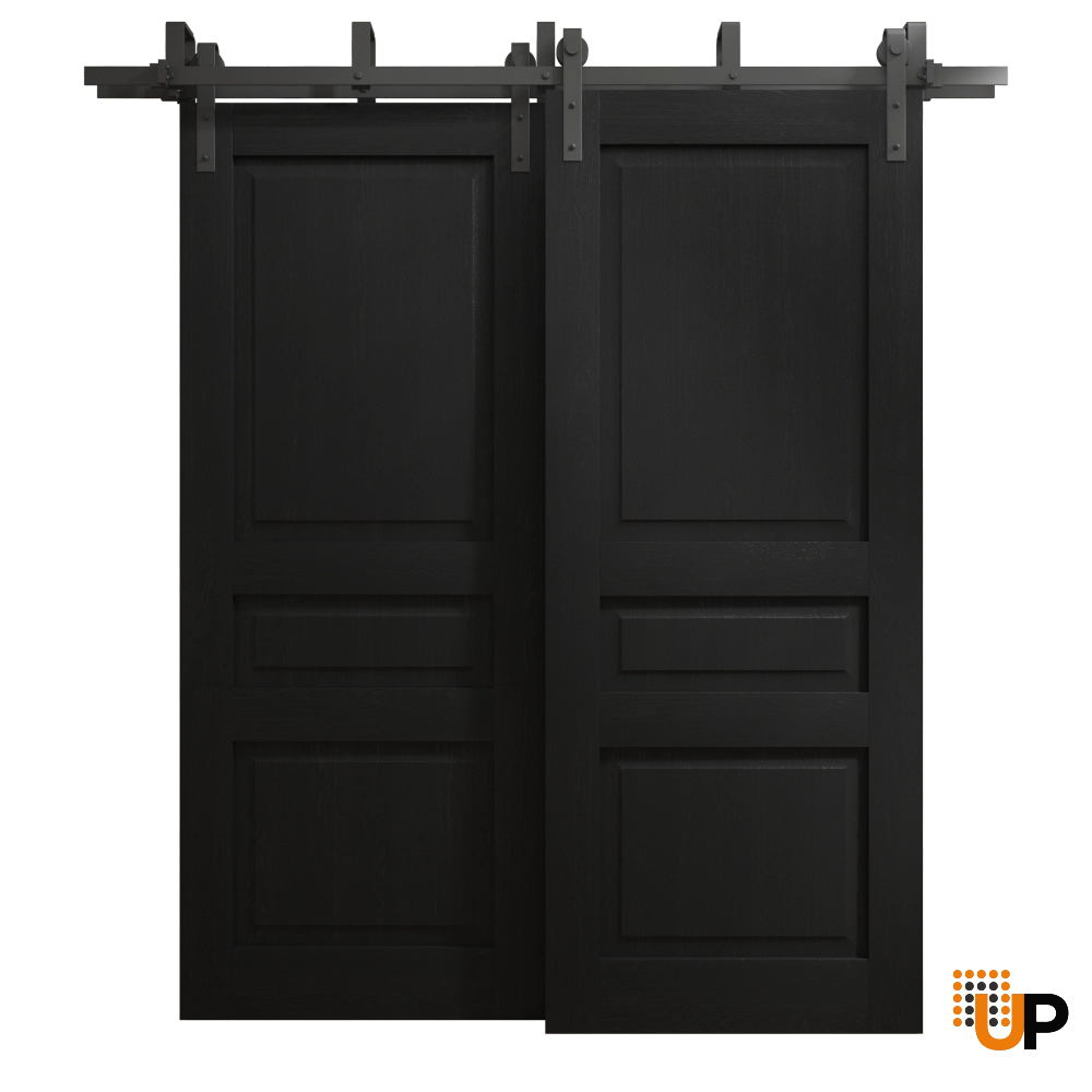 Double solid core sliding interior barn bypass door | Ego 5012 EGO Painted Black Oak | 48 x 84 (2* 24x84) photo#1