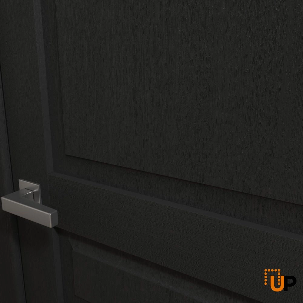 Single solid core luxury interior swing door | Ego 5012 EGO Painted Black Oak | 18 x 80 photo#3