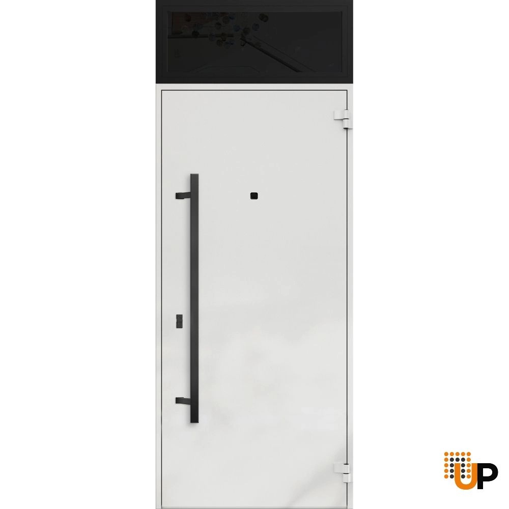 Single swing metal-aluminum modern exterior door | Deux 6072 Black | 36 x 96 photo#2