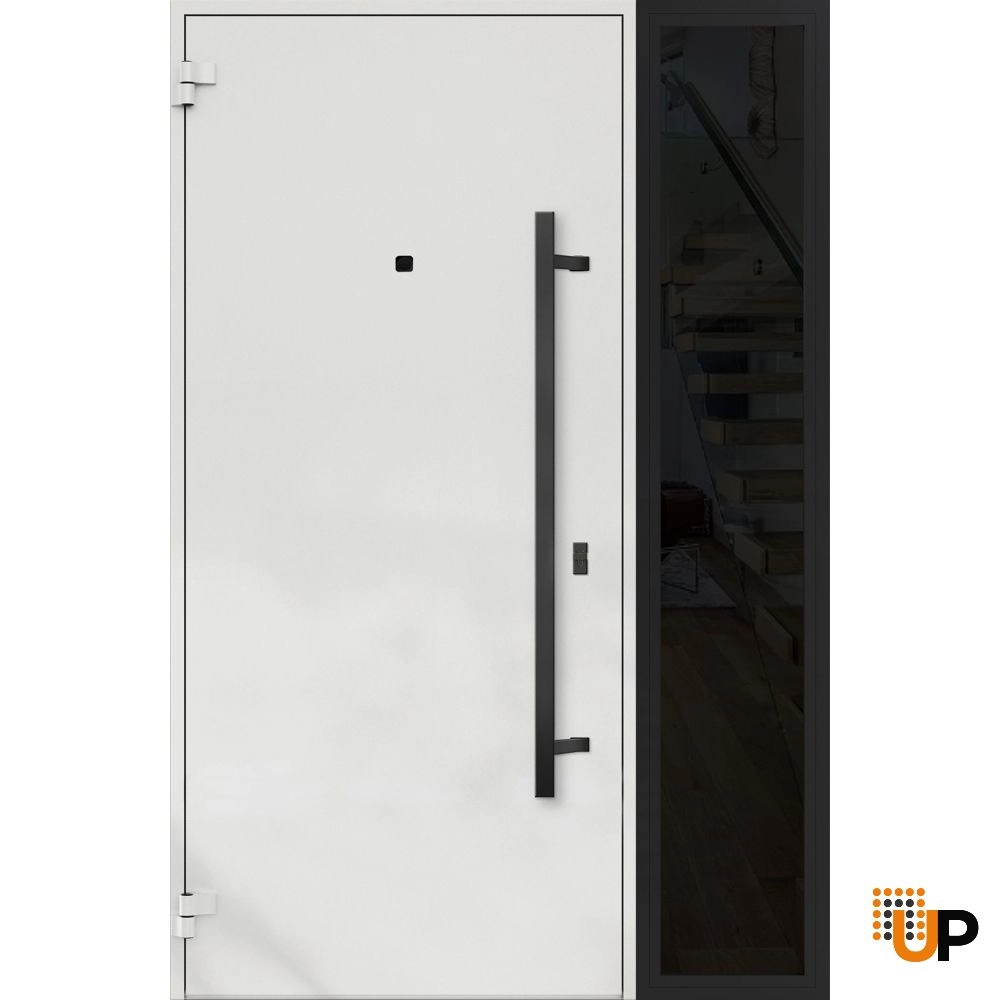 Single swing metal-aluminum modern exterior door | Deux 6072 Black | 48 x 80 photo#2