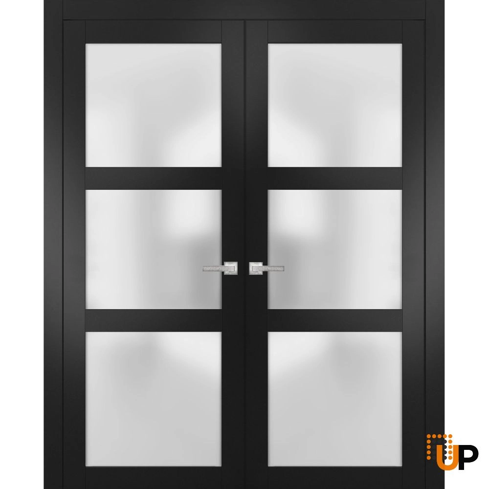 Double solid core french interior swing double door with frosted glass | Lucia 2552 Black Matte | 36 x 80 (2* 18x80) photo#1
