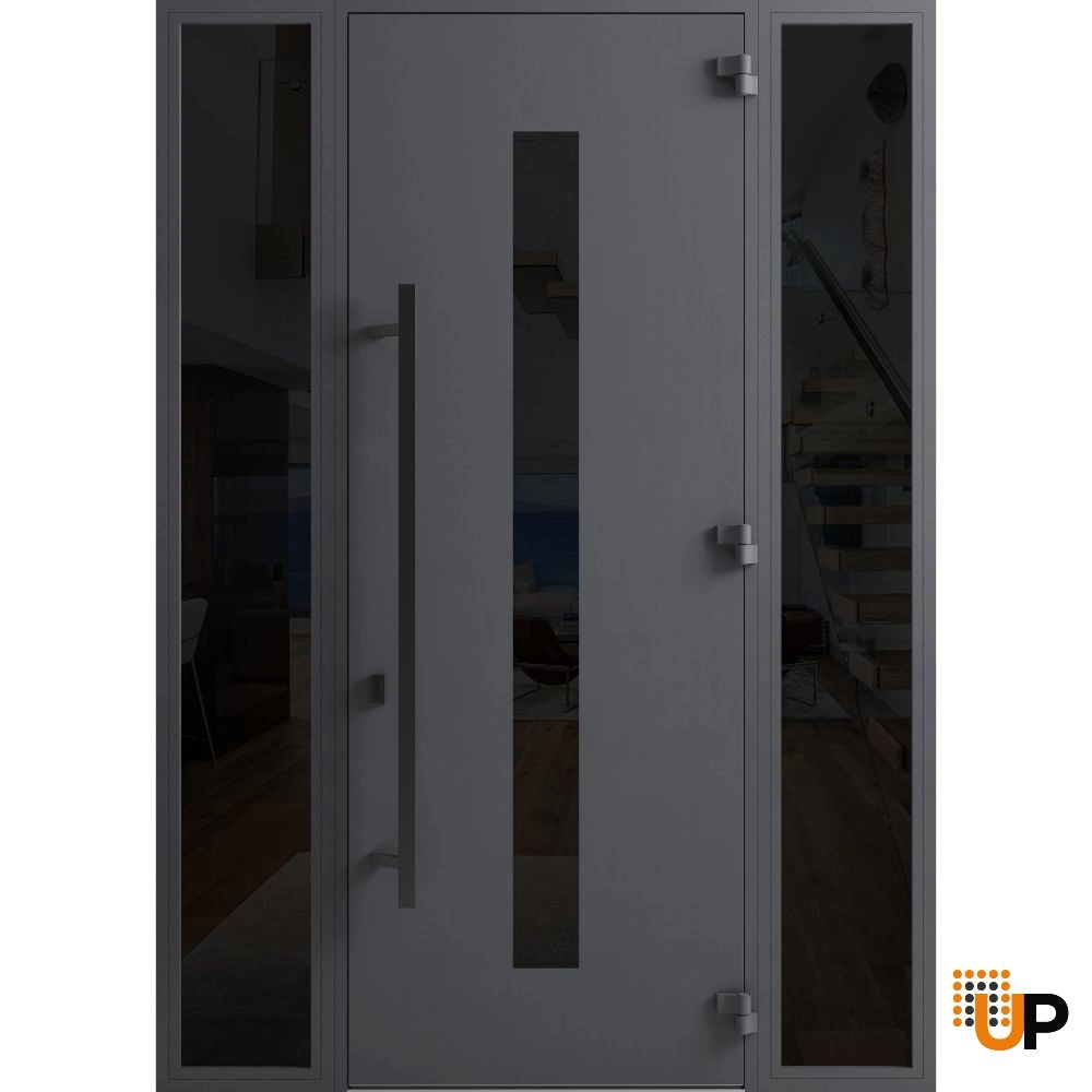 Single swing metal-aluminum modern exterior door with triplex | Ronex 0130 Gray | 60 x 96 photo#2