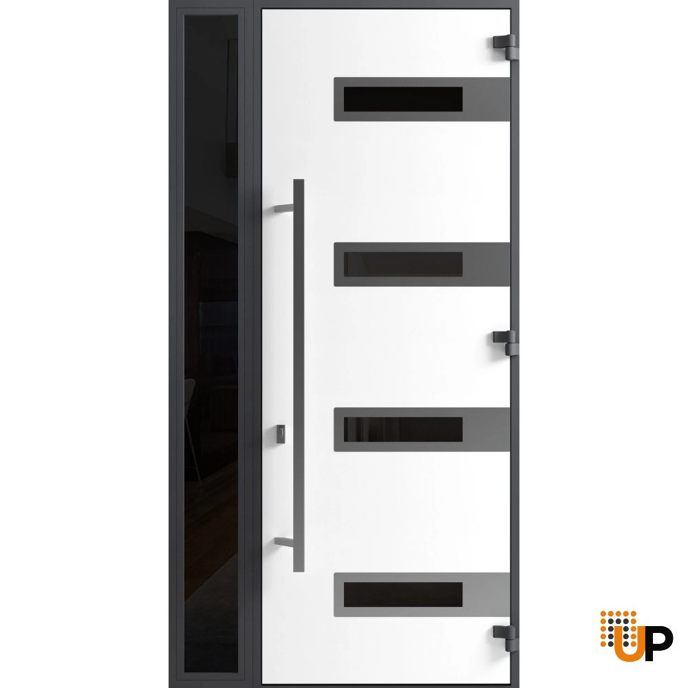 Single swing metal-aluminum modern exterior door with triplex | Ronex 0131 Black | 48 x 96 photo#2