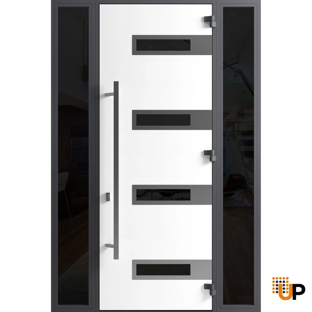Single swing metal-aluminum modern exterior door with triplex | Ronex 0131 Black | 60 x 96 photo#2