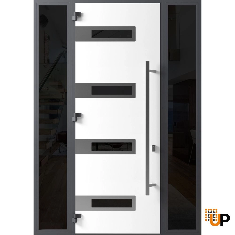 Single swing metal-aluminum modern exterior door with triplex glass | Ronex 0131 Black | 60 x 96 photo#2