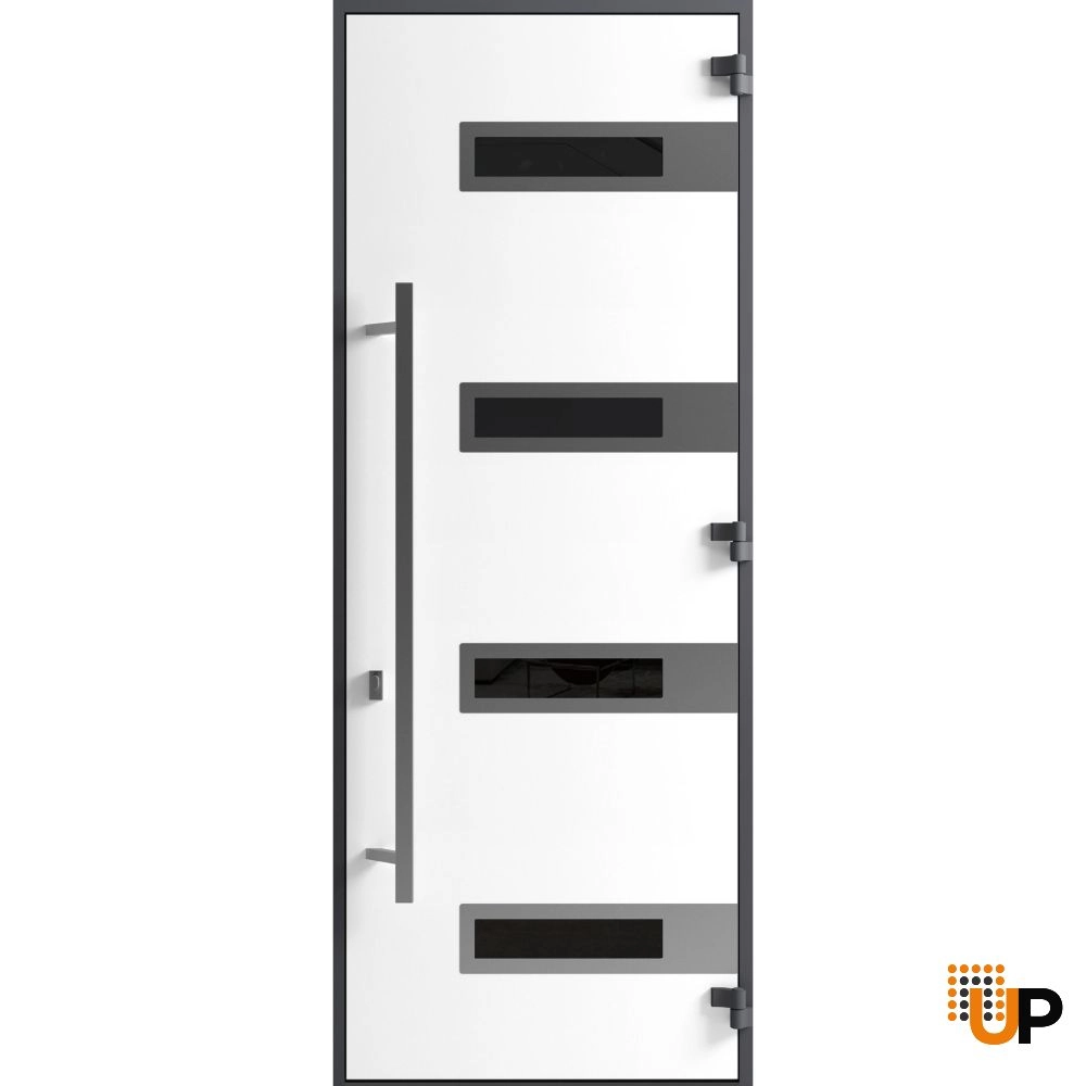 Single swing metal-aluminum modern exterior door with triplex | Ronex 0131 Black | 36 x 96 photo#2