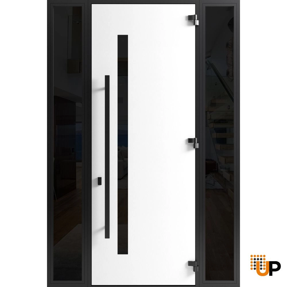 Single swing metal-aluminum modern exterior door with triplex | Ronex 0144 Gray | 60 x 96 photo#2