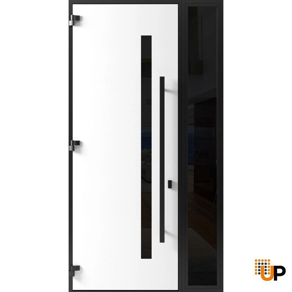Single swing metal-aluminum modern exterior door with triplex glass | Ronex 0144 Gray | 48 x 96 photo#2