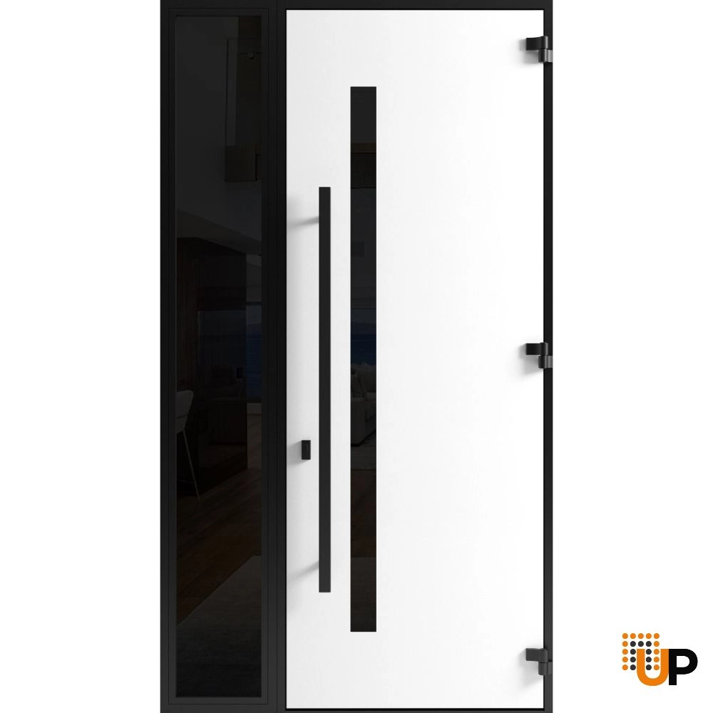 Single swing metal-aluminum modern exterior door with triplex | Ronex 0144 Gray | 48 x 96 photo#2