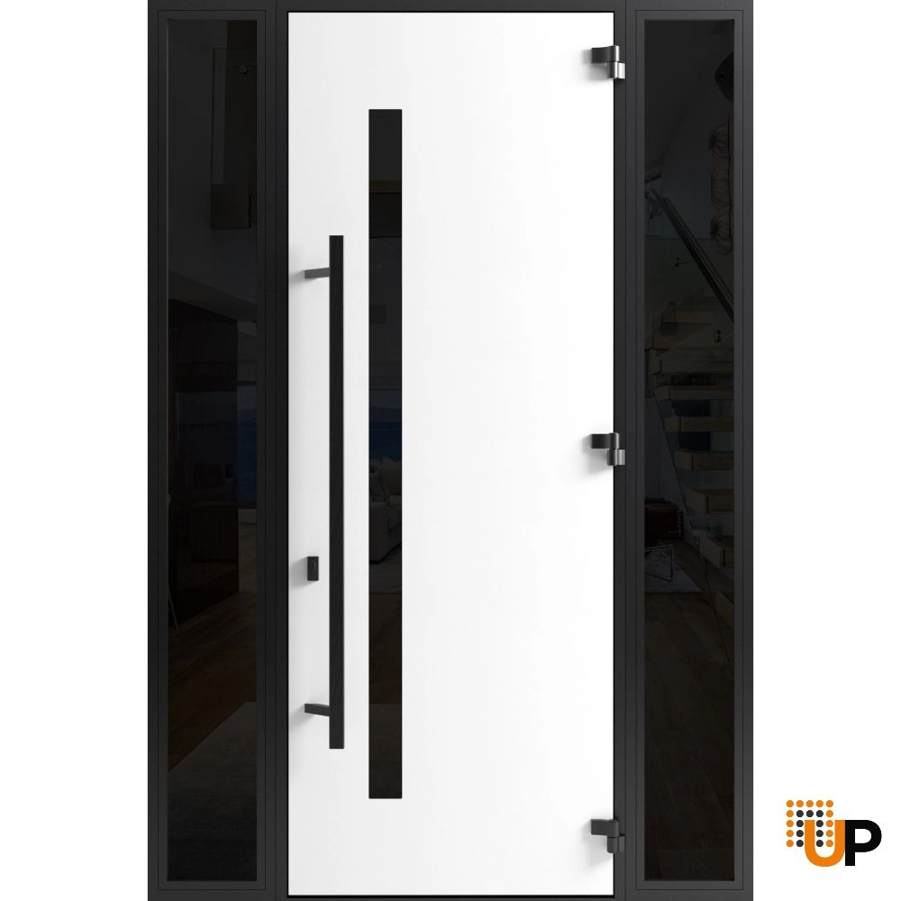 Single swing metal-aluminum modern exterior door with tinted clear-mirrored glass | Dekton 0163 Ardesia Nero | 60 x 96 photo#2
